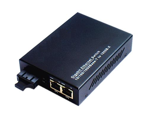 121001. Gigabit 2 RJ45 Media Converter