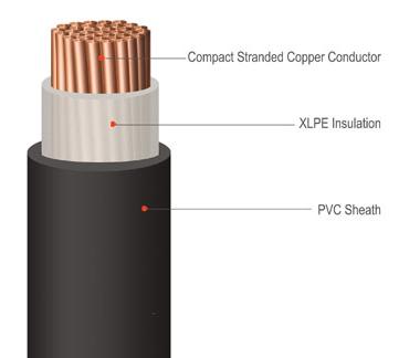 170101. XLPE Cable 0.6/1kV